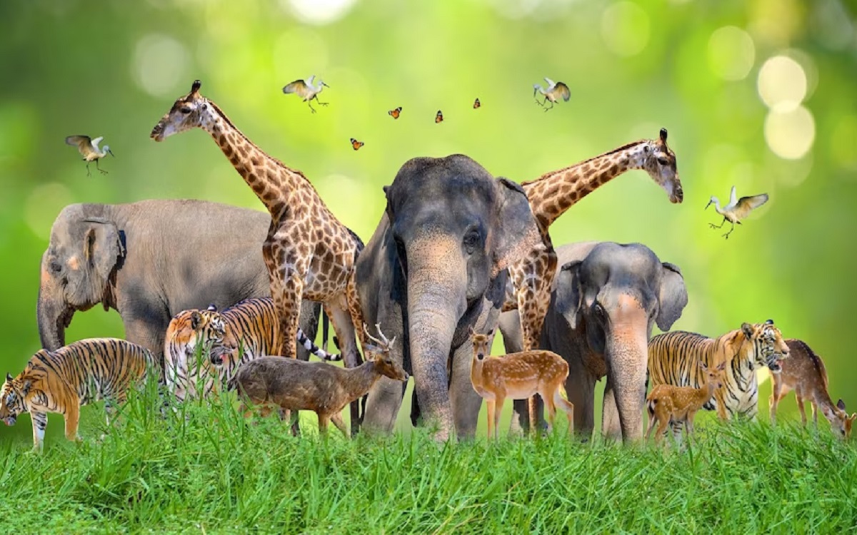Beaute-de-la-diversite-animale